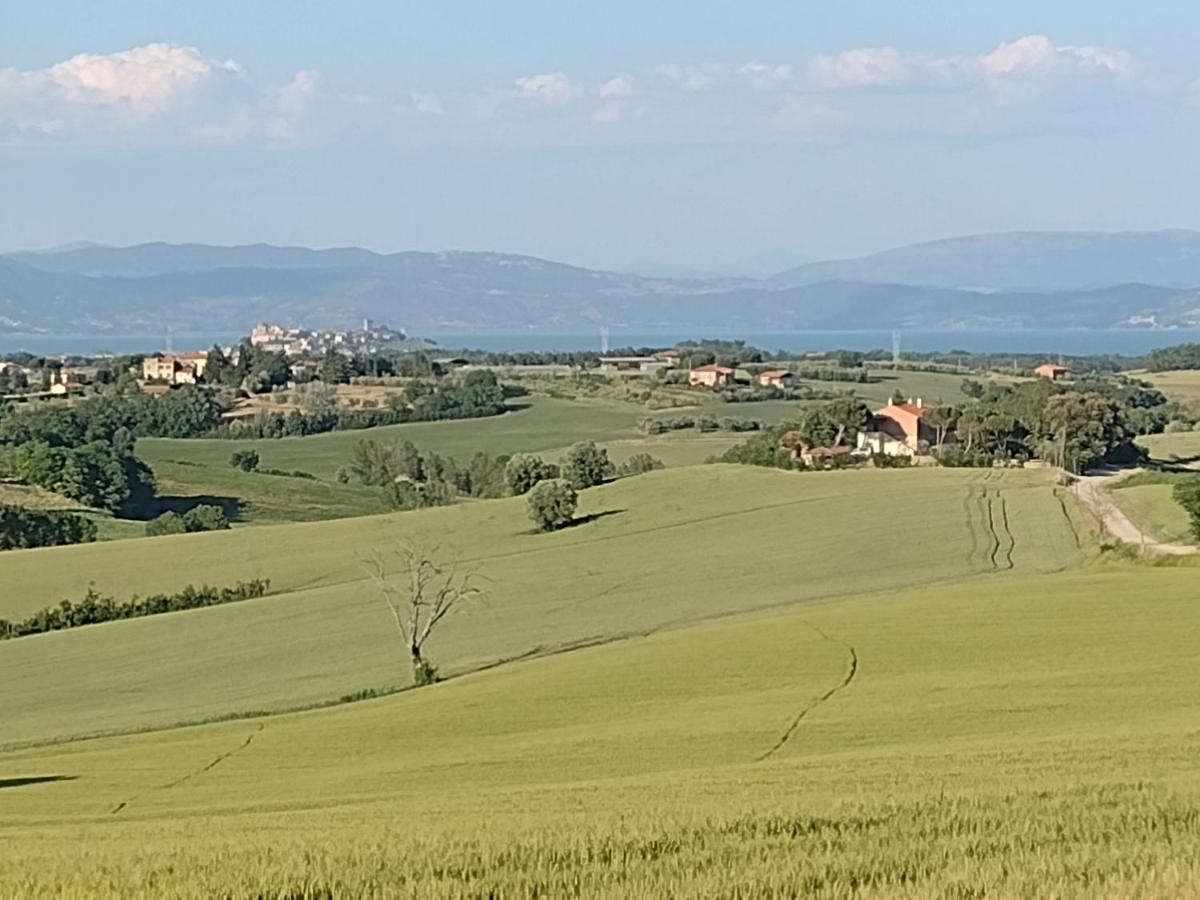 Gioiella Casa La Selvellaヴィラ エクステリア 写真